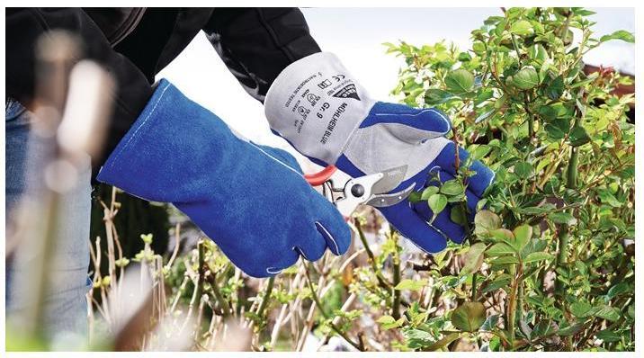 Actual product image Hase Welding gloves Mühlheim Blue size 11 blue/grey EN 388, EN 12477 PPE category II (11)