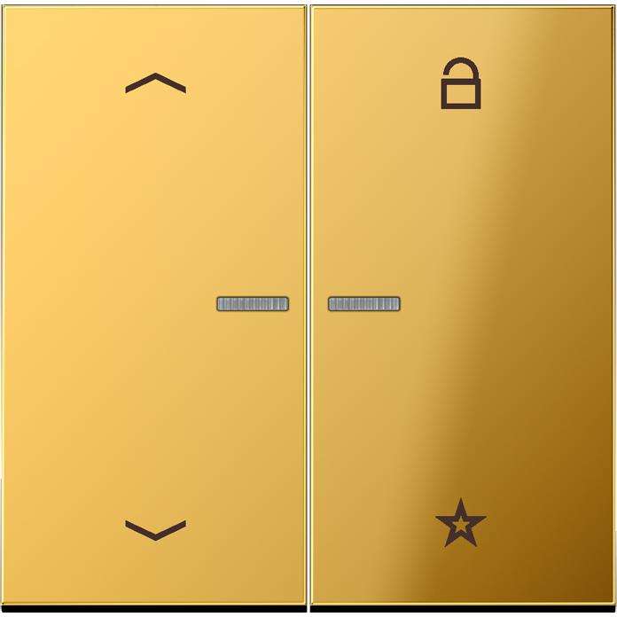 JUNG FMGO1701P, Taster + Schalter, Gold