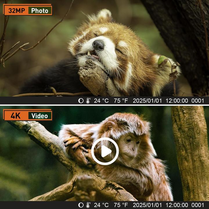 Produktbild Hssns Wildtierkamera