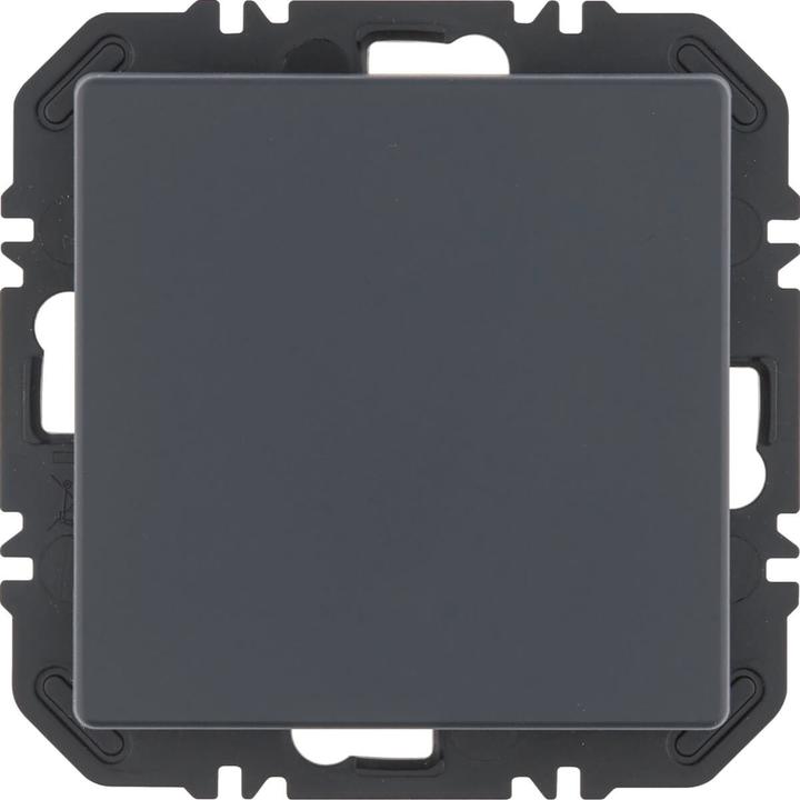 Actual product image Berker 24116186