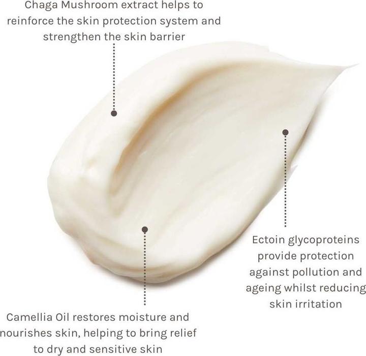 Produktbild Evolve Organic Beauty Empfindliche Haut Pro+ Ectoin Soothing Cream 60 ml (60 ml, Tagescreme)