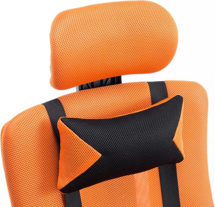 Image du produit CLP Fellow (47 - 57 cm)