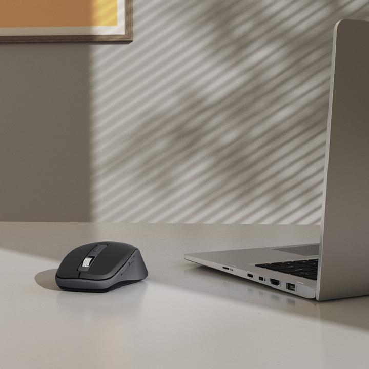 Actual product image Hama WM-450 (Wireless)