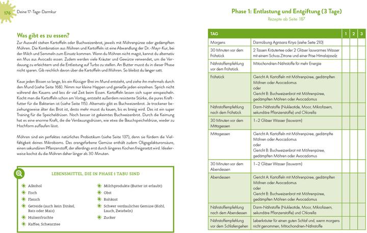 Produktbild Immunpower (Deutsch, Friederike Feil, 2021)