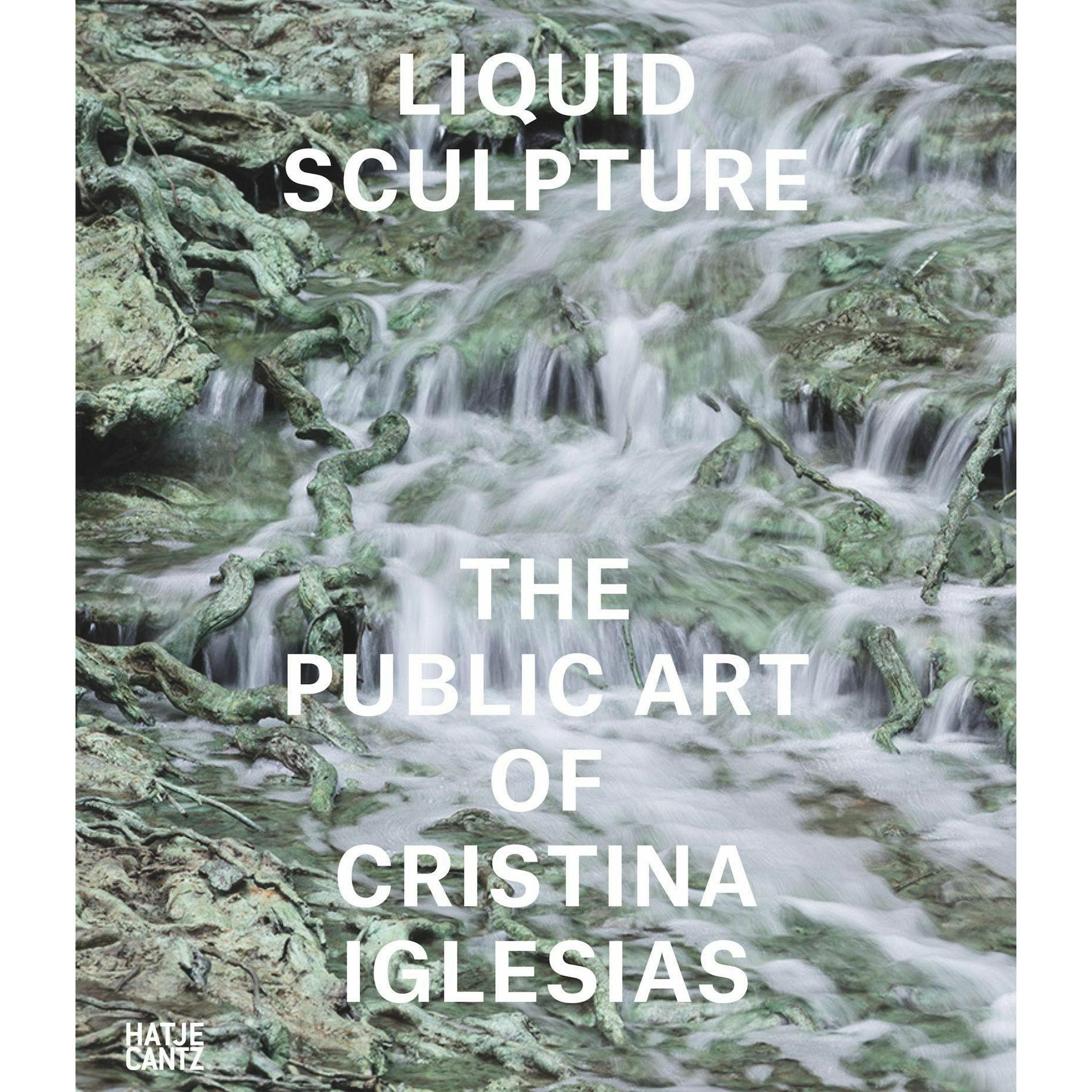 Liquid Sculpture, Sachbücher von Russell Ferguson, Richard Noble, Exequiel Ezcurra, Jane Rendell, Estrella de Diego, And...