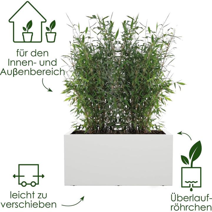 Actual product image Elho Vivo Next Lang (60 x 29.50 x 29 cm)