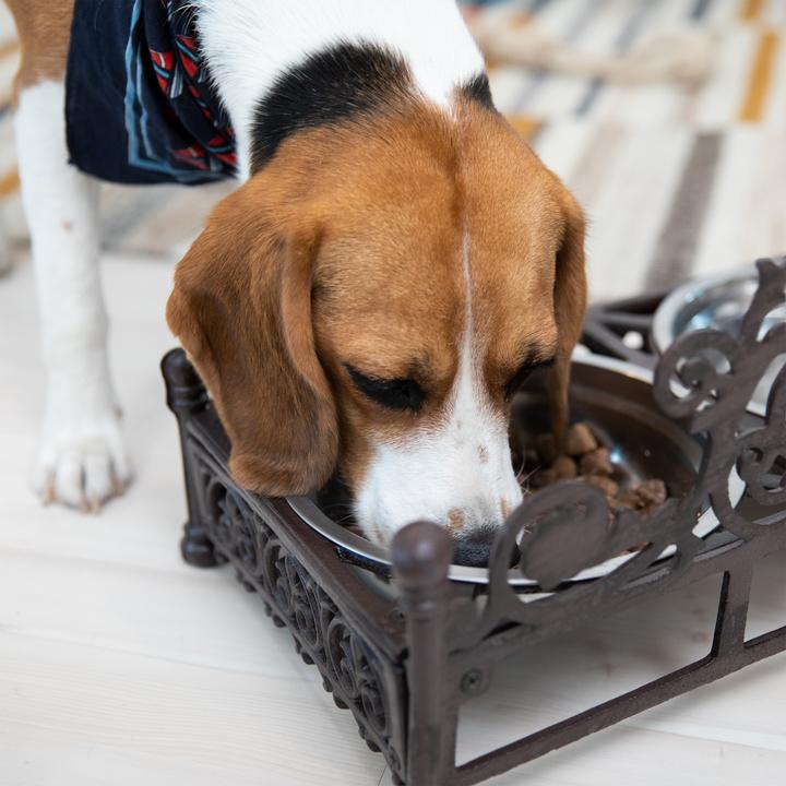 Produktbild Relaxdays Futterbar Hunde (1 l)