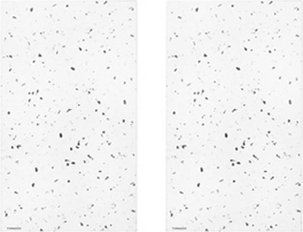 Nährwerte und Zutaten Typhoon Set mit 2 Elements-Quarz-Geschirruntersetzern (2x)