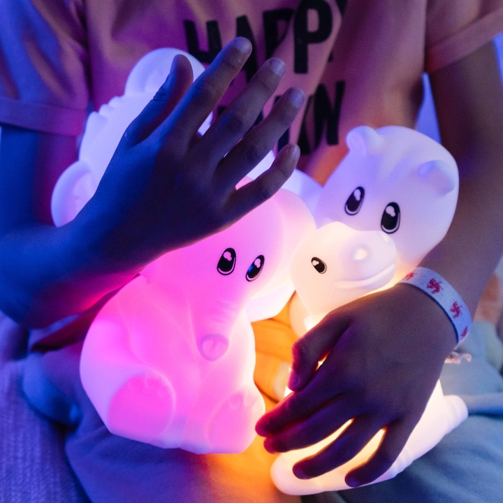 Actual product image Kidywolf Koala