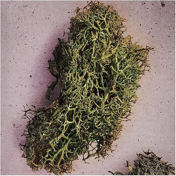 Produktbild Maison Martin Margiela Maison Margiela Replica Up At Dawn Eau De Toilette 100 Ml (Eau de Toilette, 100 ml)