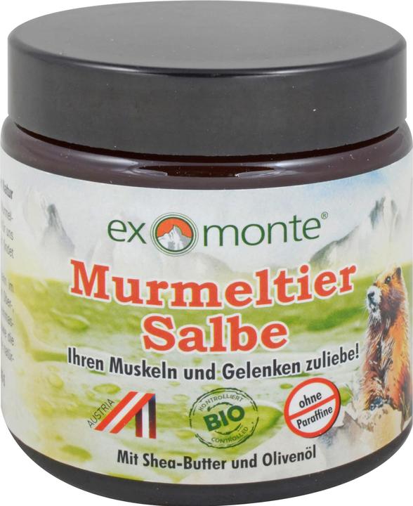 Actual product image Exmonte Marmot ointment, 100 ml (1 x, 100 ml, 262 g)