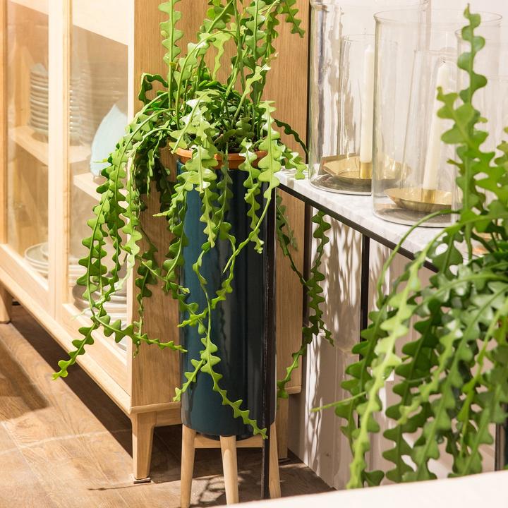 Produktbild AM.PM Florian (20 x 70 cm)