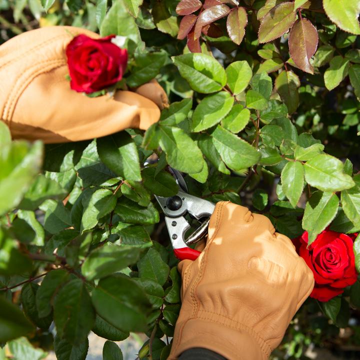 Immagine prodotto Felco 703L Guanti da giardinaggio in vera pelle, taglia L (L)