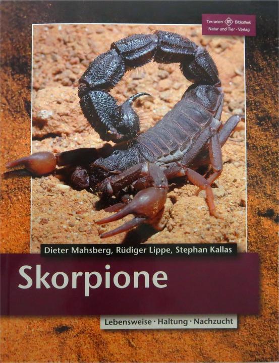 Produktbild Skorpione: Lebensraum, Haltung, Zucht (Deutsch, Dieter Mahsberg, Rüdiger Lippe, Stephan Kallas, 2012)