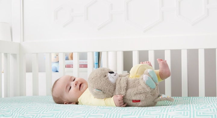 Actual product image Fisher-Price Slumber Otter (20.30 cm)