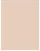Immagine prodotto Clinique Blended Face (08 Trasparenza Neutro)