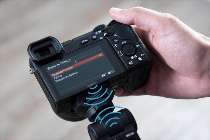 Image du produit Sony GP-VPT2BT (Poignée)