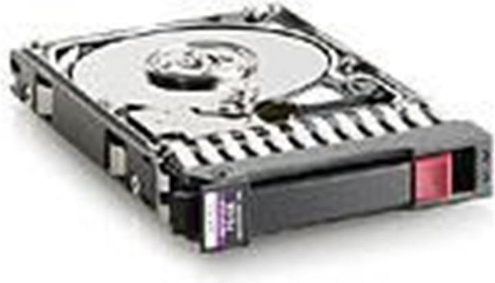 HPE 300GB 6G SAS 15K U/min SFF 2.5" (0.30 TB, 2.5")