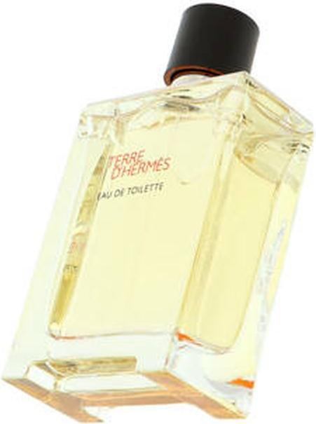 Image du produit Hermès Terre D' (Eau de toilette, 100 ml)