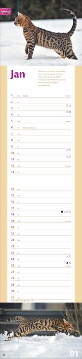 Produktbild Whiskas Katzenleben Kalender 2026 (Harter Einband, Deutsch)