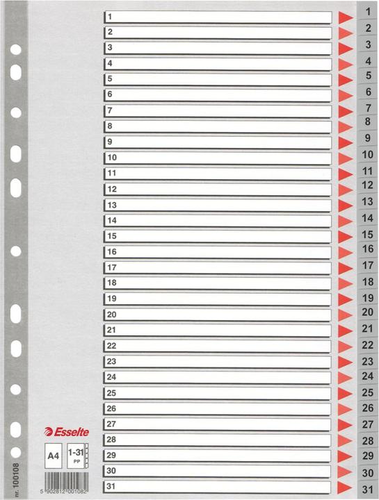Immagine prodotto Leitz Registri in plastica Esselte, numeri, A4, 1-31, grigio in 31 parti, PP, 0,12 mm, con coperchio