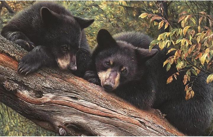 Produktbild Cobble Hill Puzzle 1000 pieces Mom's Awaiting (1000 Teile)