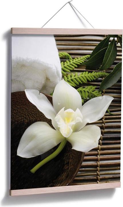 Produktbild Trenddeko Wellness Orchidee (50 x 60 cm)