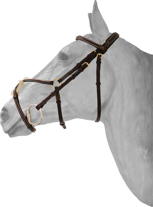 Image du produit HFI Master Fancy