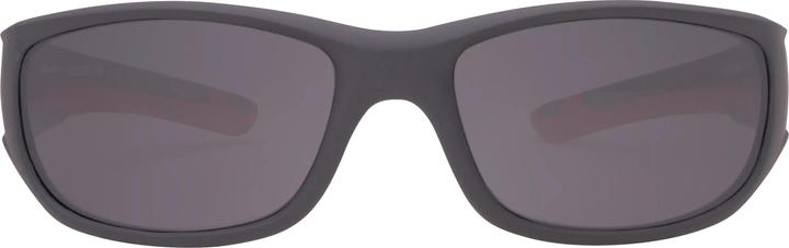 Produktbild Demetz Liken, grau polarized (3)