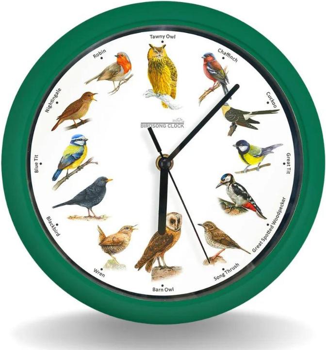 Actual product image Starlyf Birdsong Clock