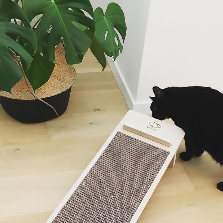 Image du produit EBI Planche à gratter d'angle (Beige)