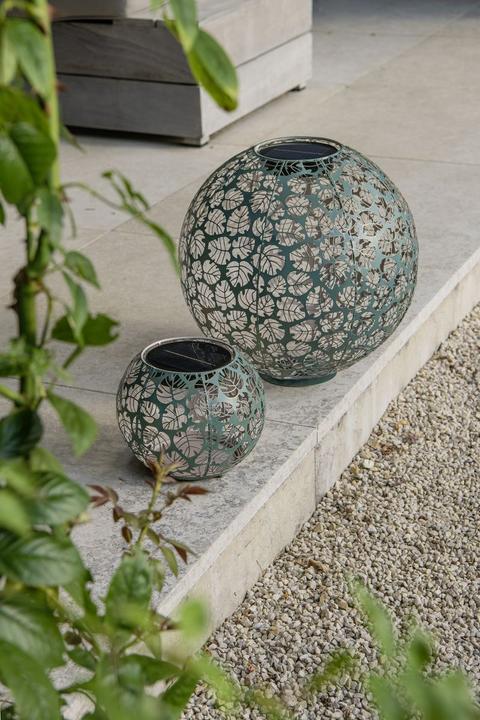 Image du produit STT Monstera