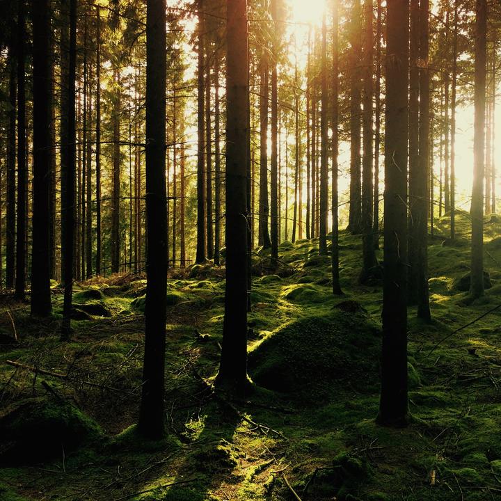 Produktbild TePe Good Compact Soft (Weich, 1 x)