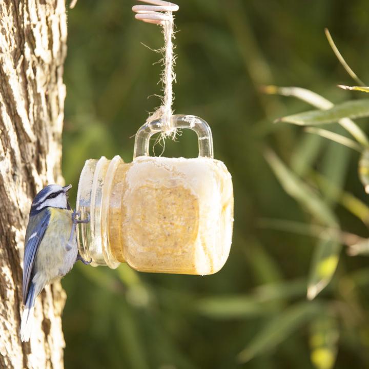 Produktbild Best for Birds FB830 (1 x, 0.57 kg)