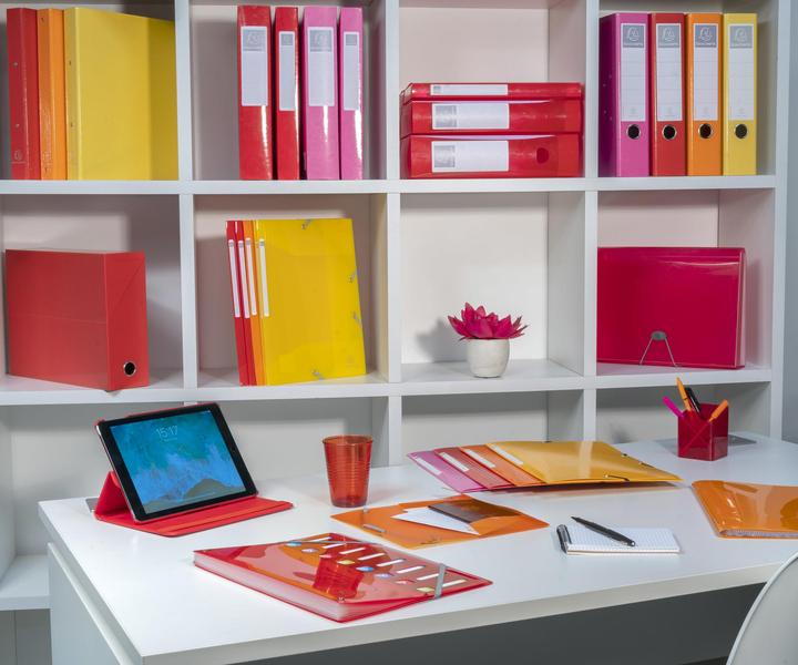 Actual product image Exacompta Archivboxen (A4)