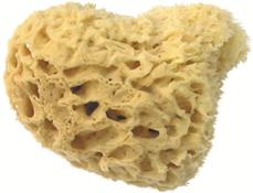 Image du produit Herba Véritable éponge naturelle