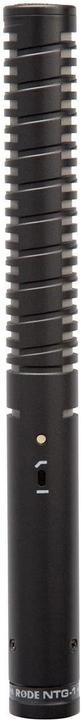 Actual product image RØDE Ntg1