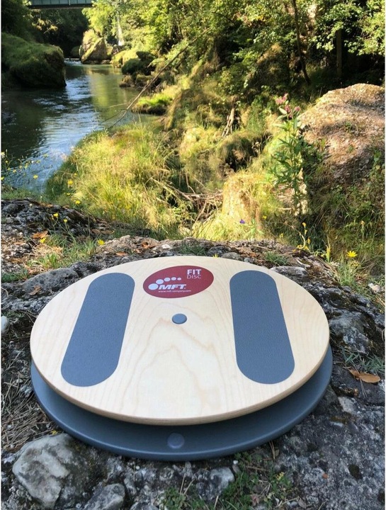 Actual product image MFT Fit Disc
