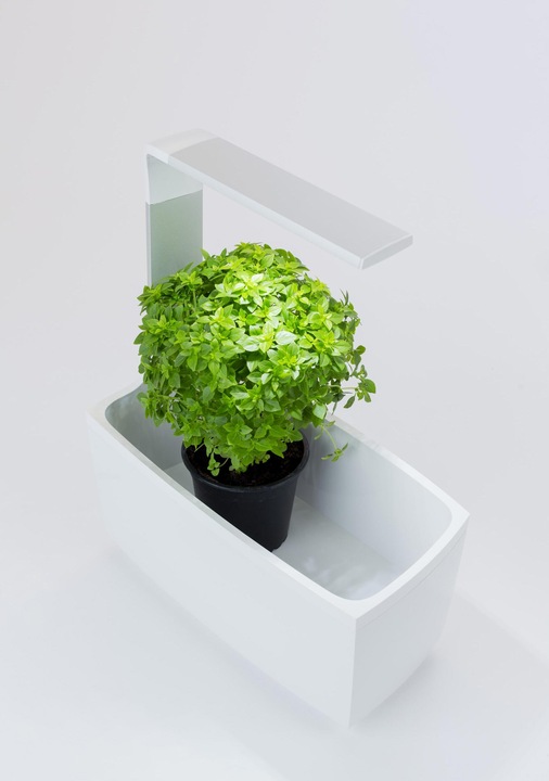 Produktbild Tregren Kräutertopf T6 (34.50 cm)