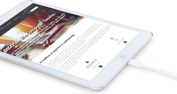 Image du produit Dicota Chargeur de voyage GaN pour ordinateur portable Universal PRO (100 W, 3 ports)