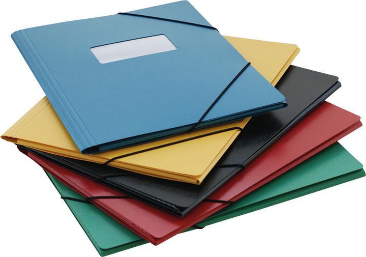 Actual product image Erola Pendency folder A4 green with window + 3 flaps (A4, 1x)
