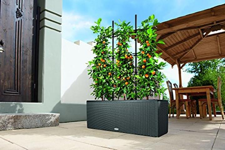 Produktbild Lechuza Trio Cottage (32 cm)