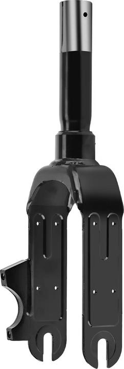 Actual product image Ninebot Fork