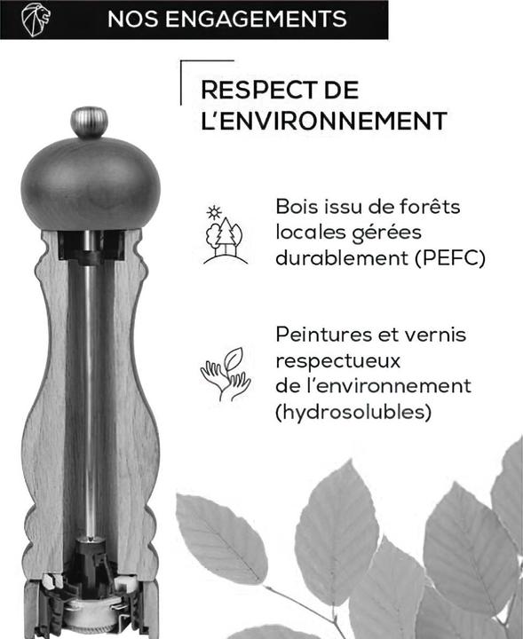 Actual product image Peugeot FIDJI salt mill beech wood matt 12 cm (Salt)