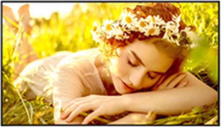 Image du produit LG 50UL5Q-E Signage Display 50inch VA UHD 500cd/m2 4.500:1 24/7 WebOS 6.1 WiFi (3840 x 2160 pixels, 50")