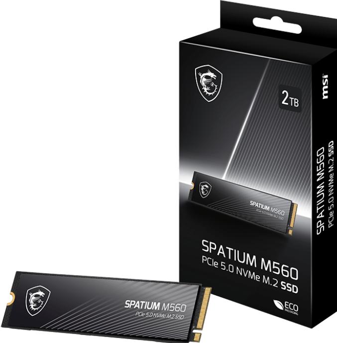 Actual product image MSI Spatium M560 (2000 GB, M.2 2280)