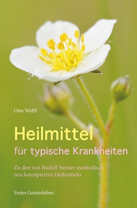 Produktbild Heilmittel für typische Krankheiten (Deutsch, Otto Wolff, 2013)