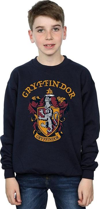 Immagine prodotto Felpa in cotone da ragazzo Grifondoro (128)