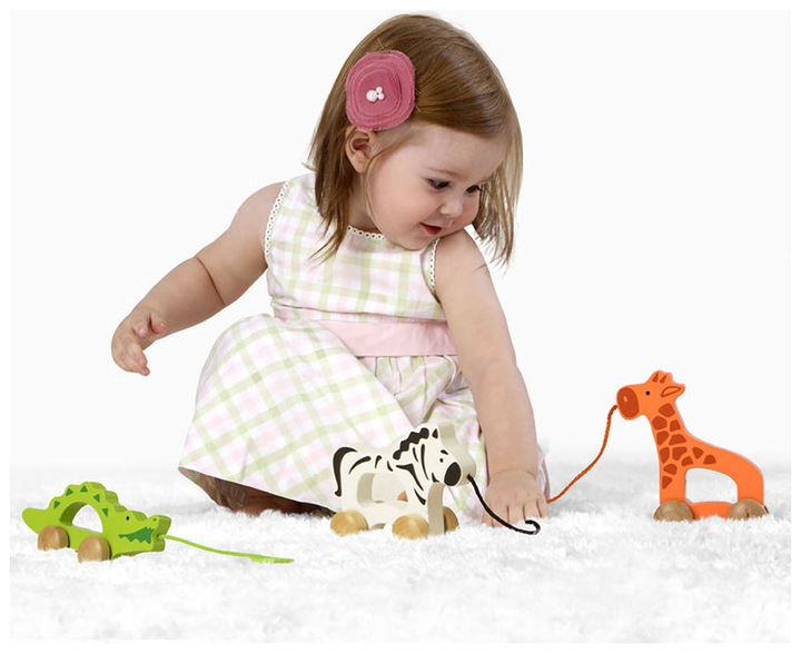 Actual product image Hape Pull-along giraffe