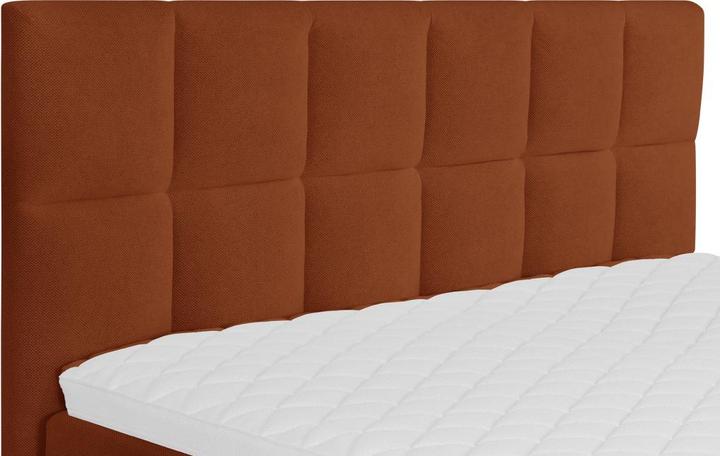 Actual product image Livetastic Lorie (180 x 200 cm)